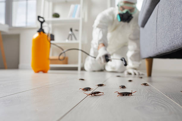 Post-Treatment Bed Bug Interceptor Monitoring in Lake Norman of Catawba