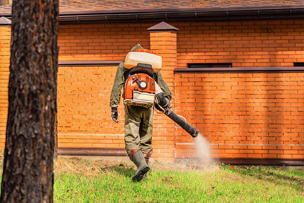 Bed Bug Clearance Verification and Documentation in Lake Norman of Catawba
